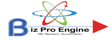BizproEngine Advisory Services Pvt Ltd logo